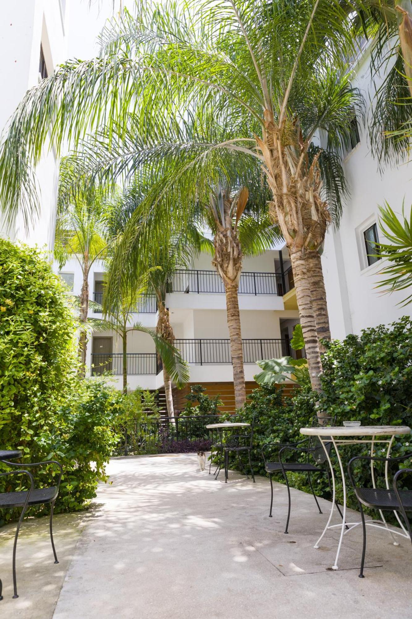 Where to Stay in Kato Paphos: 3 Best Family-Friendly Hotels