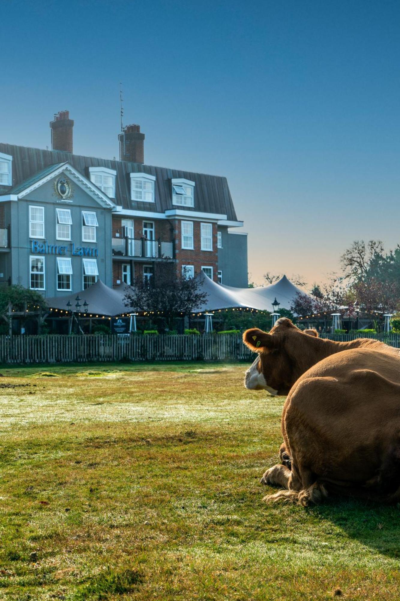3 Family Hotels Near Beaulieu Palace House That Deliver