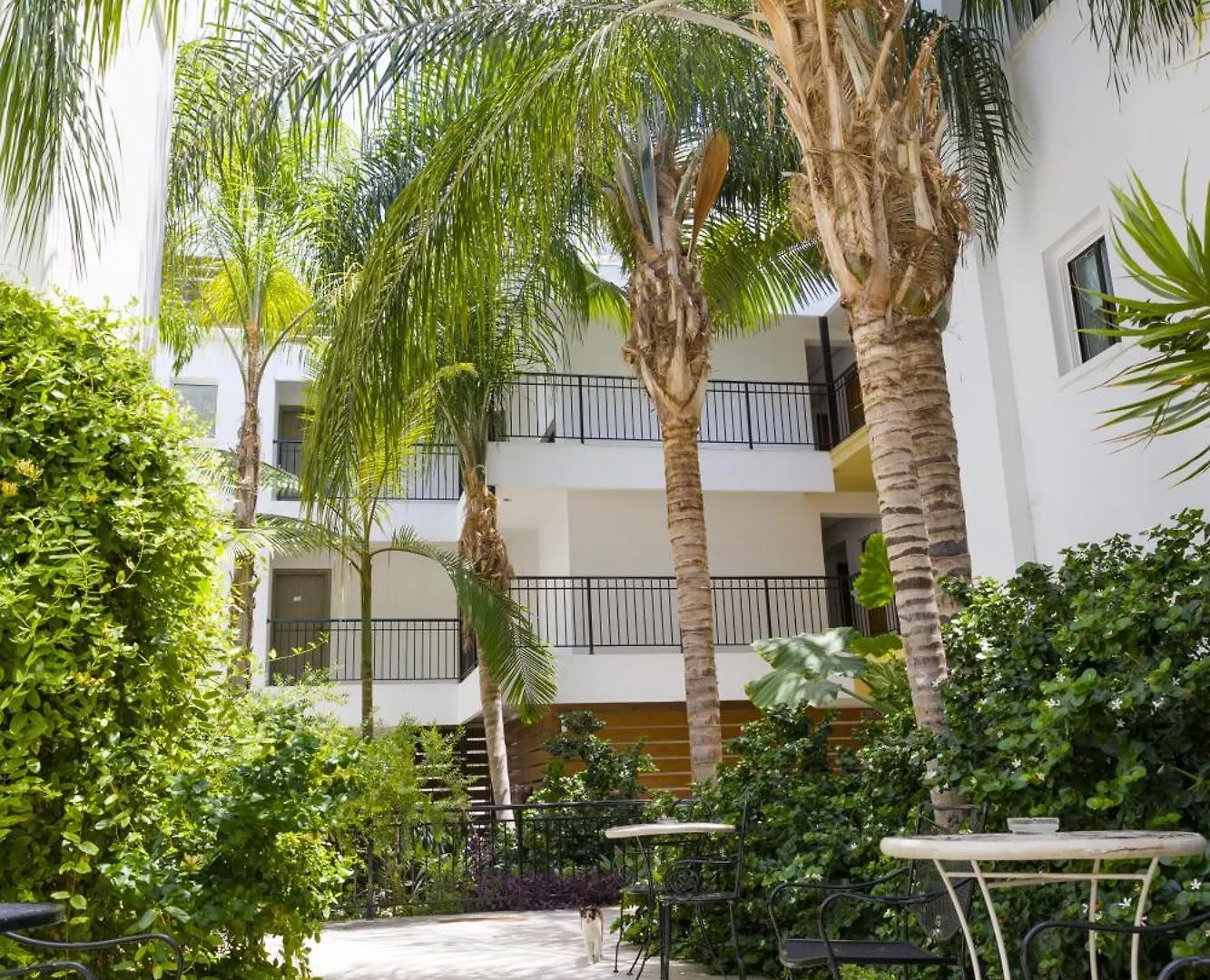 Where to Stay in Kato Paphos: 3 Best Family-Friendly Hotels