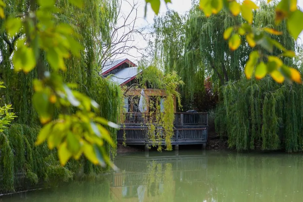 Staying In Moama: 2 Resorts Compared for Your Murray River Break