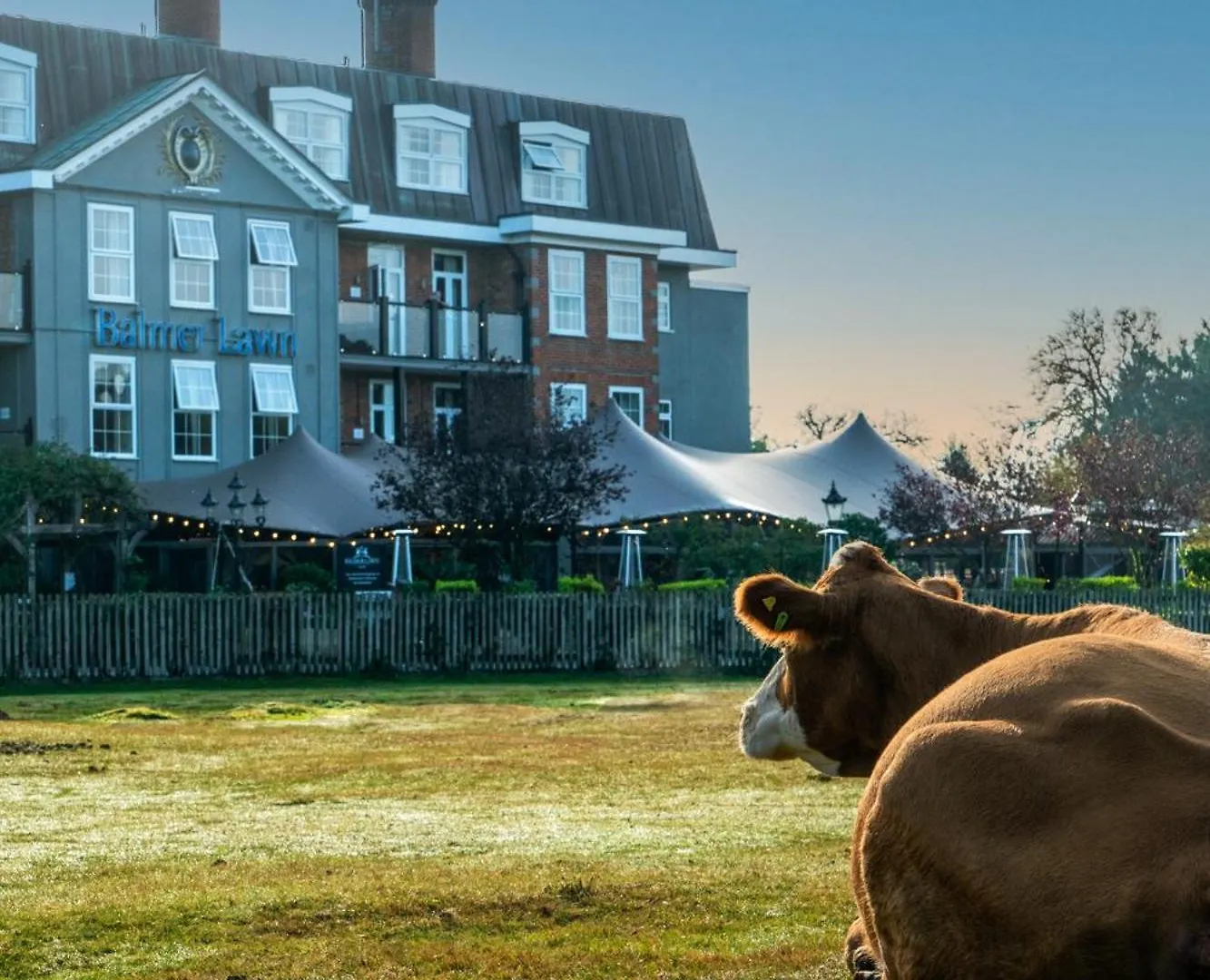 3 Family Hotels Near Beaulieu Palace House That Deliver